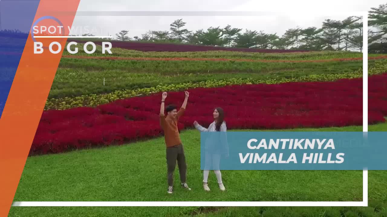 Taman Bunga Vimala Hills Keindahan Hijau Alam Bogor