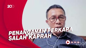 Eks Ketua KY soal Kasus Pinangki: Salah Penanganan dan Salah Kaprah!