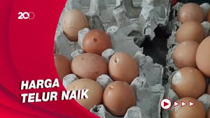 Saking Mahalnya, Telur Pecah di Tasikmalaya Laku Dijual!