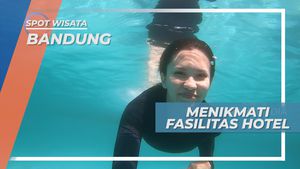 Rehat Sejenak, Berenang Santai Menikmati Segarnya Air Kolam di Hotel Mewah, Bandung
