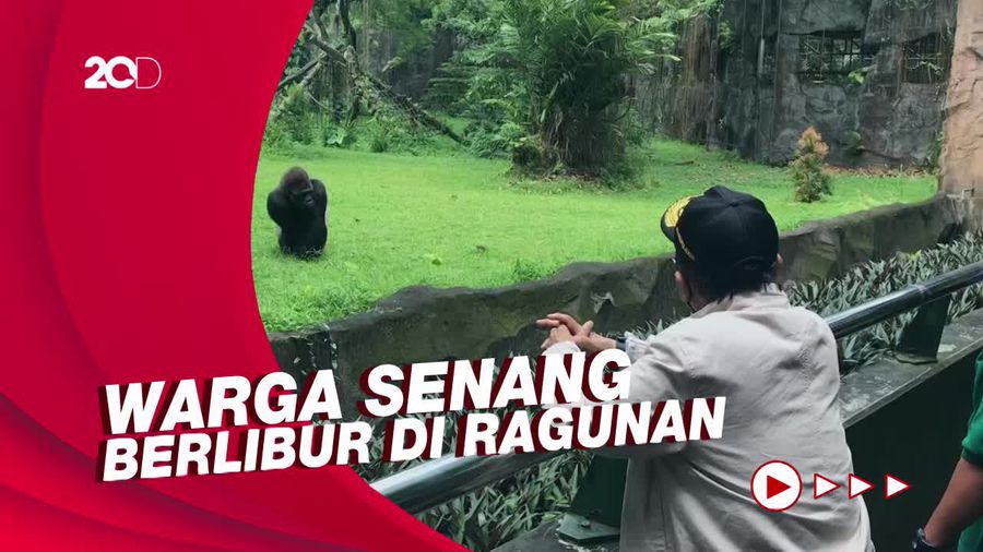 Kunjungi Ragunan, Mahfud Md Apresiasi Penerapan Prokes-Tempat Bersih