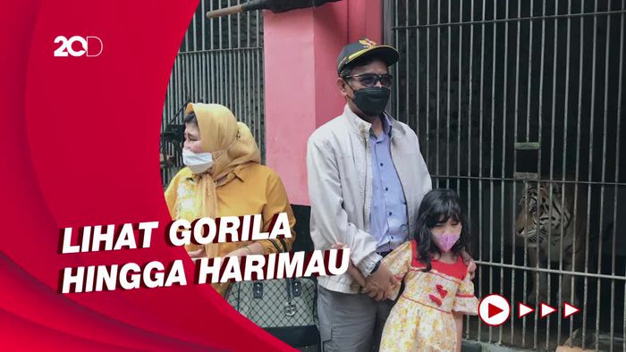 Mahfud Md Liburan Bareng Cucu Lihat Satwa di Ragunan