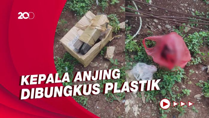 Kronologi Teror Potongan Kepala Anjing dari Pihak Habib Bahar