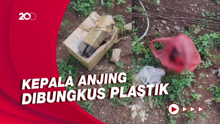 Kronologi Teror Potongan Kepala Anjing dari Pihak Habib Bahar