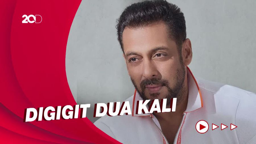 Cerita Salman Khan Digigit Ular hingga Habiskan 6 Jam di RS