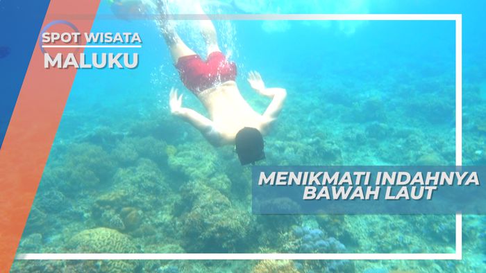 Pantai Lubang Buaya, Menikmati Keindahan Bawah Laut yang Luar Biasa Keren, Maluku