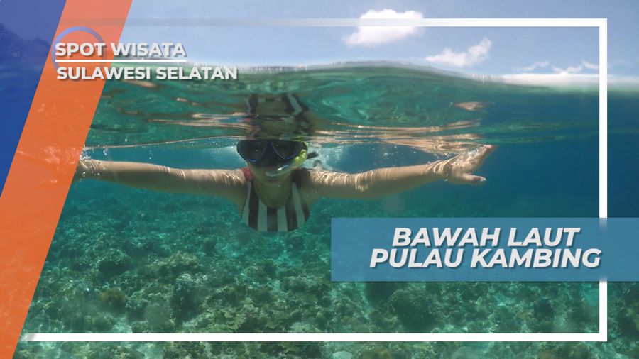 Pesona Keindahan Bawah Laut Pulau Kambing Sulawesi Selatan