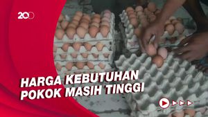 Harga Telur Ayam Sedikit Turun, Pedagang Masih Ngeluh Omzetnya Drop!