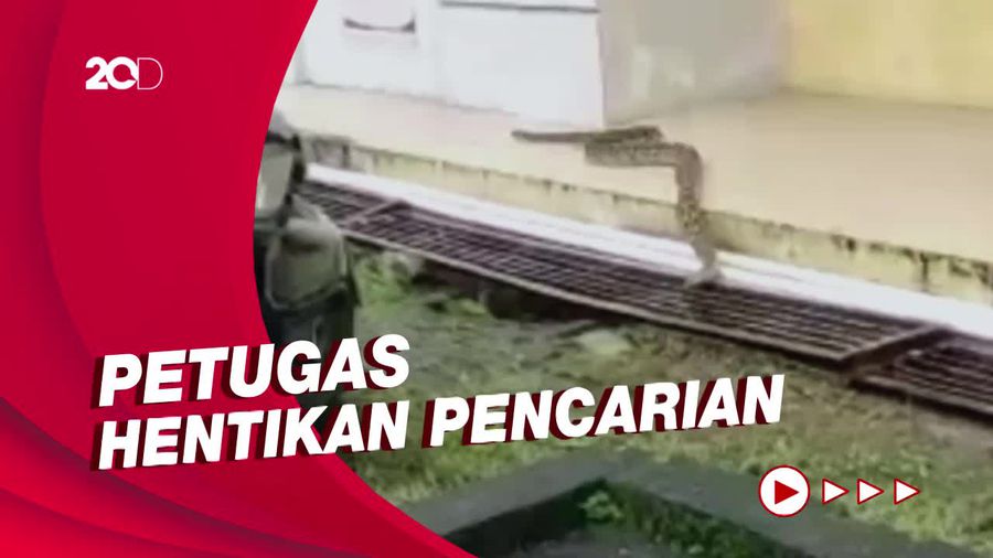 Ular Piton Masuk Ruang Covid RS di Makassar, Sampai Kini Belum Tertangkap