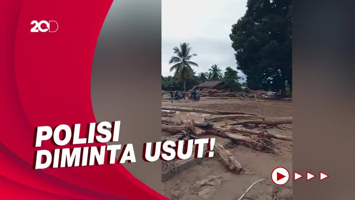 Padang Lawas Diterjang Bandang, Tumpukan Gelondongan Kayu Berserakan!