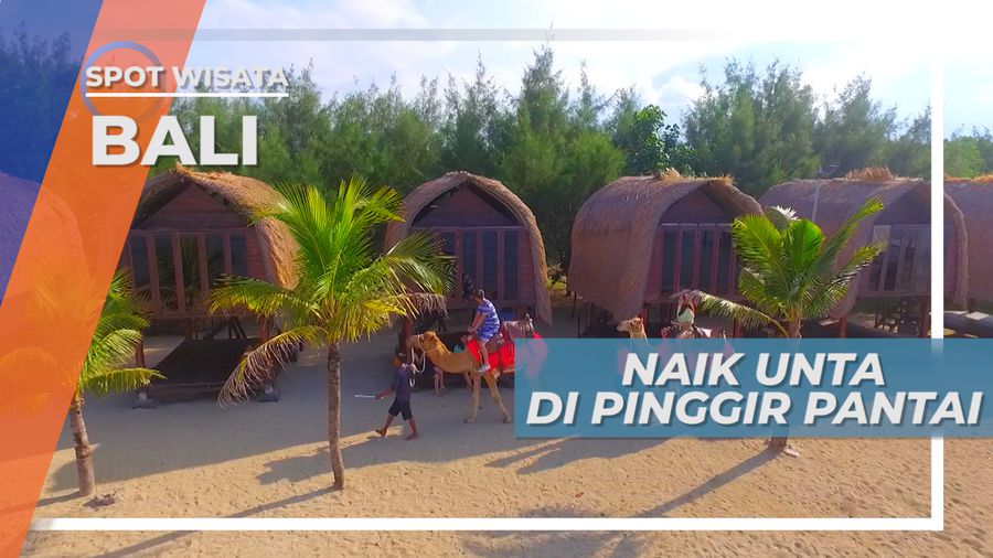 Naik Unta Menikmati Suasana Indah Pantai, Bali