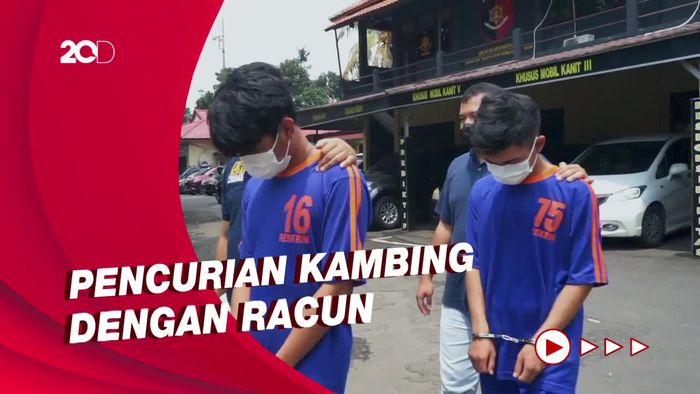 Maling Kambing di Purwakarta Dihajar Massa, Pakai Racun saat Beraksi
