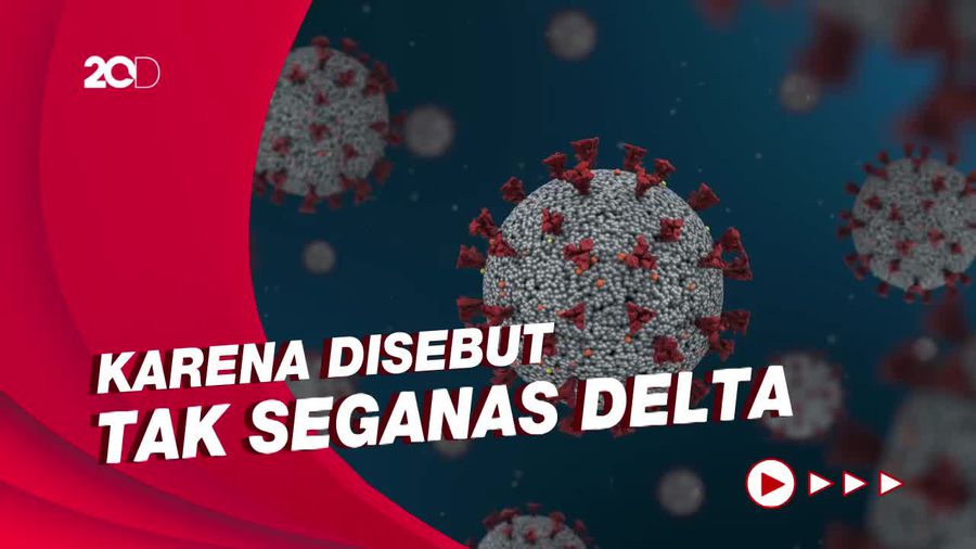 WHO: Berpikir Omicron Adalah Penyakit Ringan Itu Berbahaya!