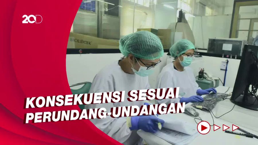 Honorer Eijkman Nganggur Usai Dilebur ke BRIN, PDIP: Bukan untuk Menihilkan!