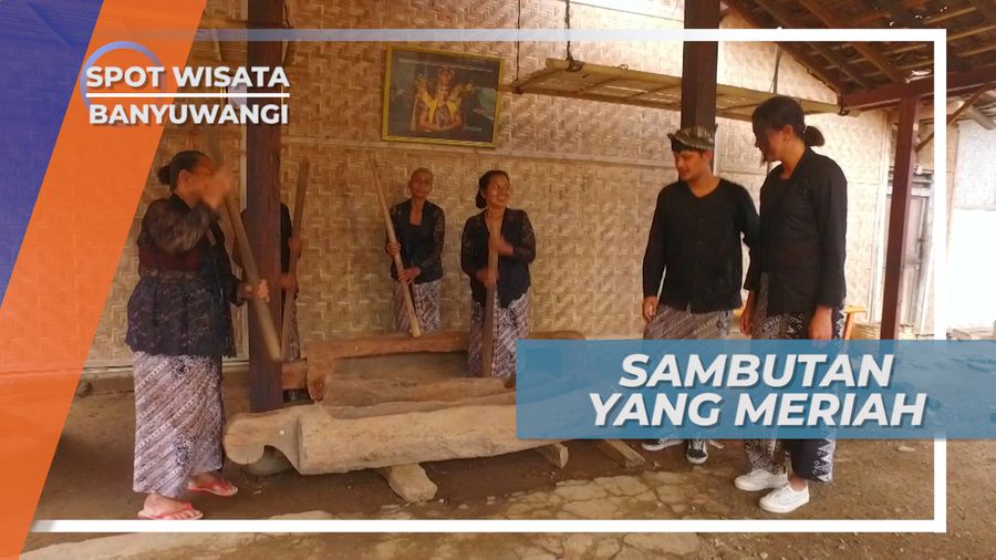Sambutan Meriah Warga Desa Wisata Osing Kemiren Banyuwangi