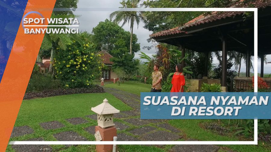 Staycation Seru di Penginapan Nyaman Banyuwangi