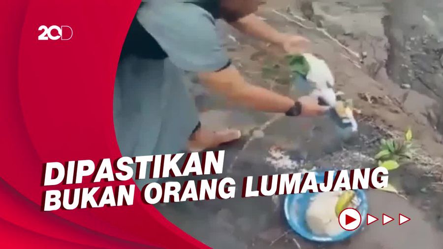 Geger Pria Tendang & Buang Sesajen di Lokasi Erupsi Semeru, Kini Dicari