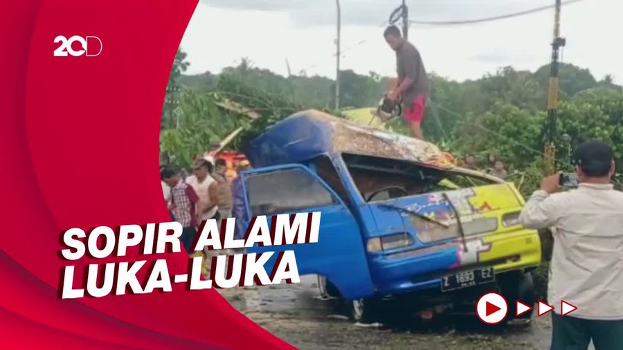 Hujan Deras Terjang Tasik, Pohon Besar Tumbang Timpa Odong-odong!