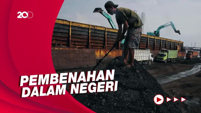 Korsel-Jepang Minta Ekspor Batu Bara Dibuka, DPR: Dahulukan Dalam Negeri