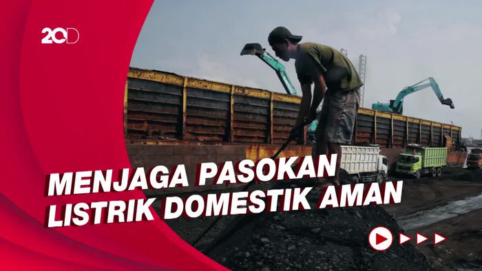 PAN Anggap Keputusan Jokowi Larang Ekspor Batu Bara Sudah Tepat