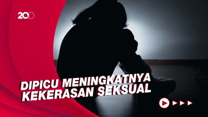 Pekan Depan RUU TPKS Inisiatif DPR Bakal Disahkan 