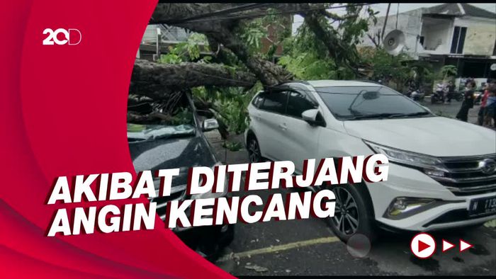 Pohon Tumbang Timpa 3 Mobil di Semarang