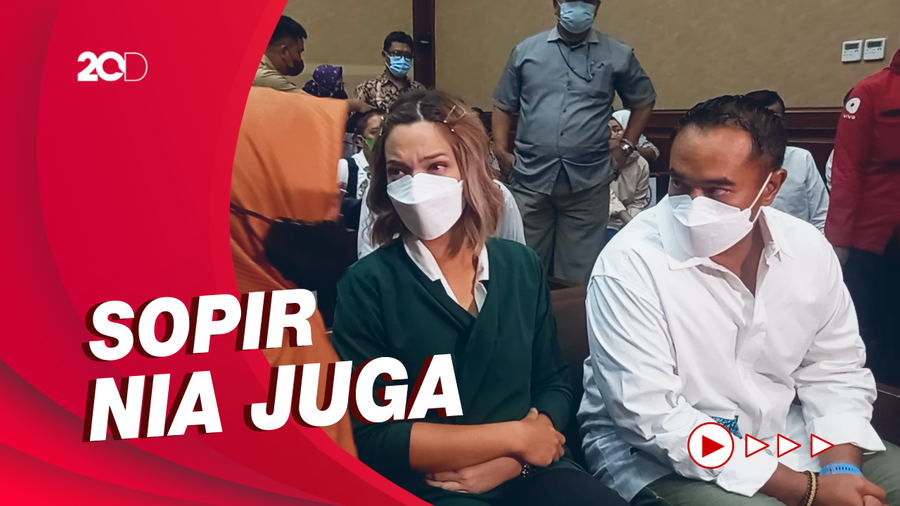 Saat Nia Ramadhani dan Suami Divonis 1 Tahun Penjara