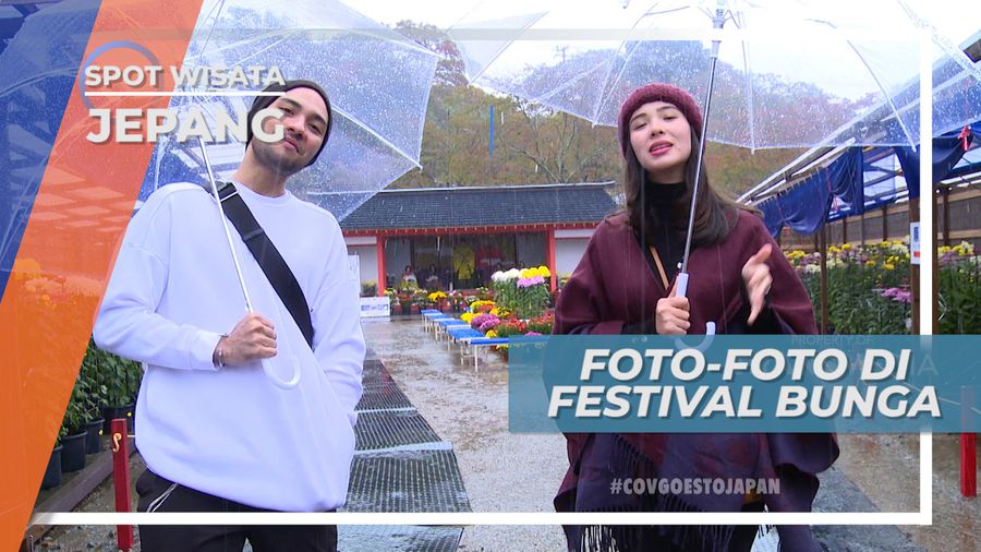 Cekrak-cekrek, Foto Seru Dengan Latar Bunga Krisan yang Indah, Jepang