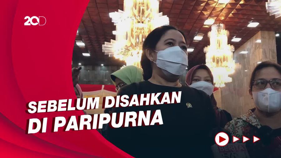 Puan Sebut RUU TPKS Bakal Dibawa ke Bamus Besok!