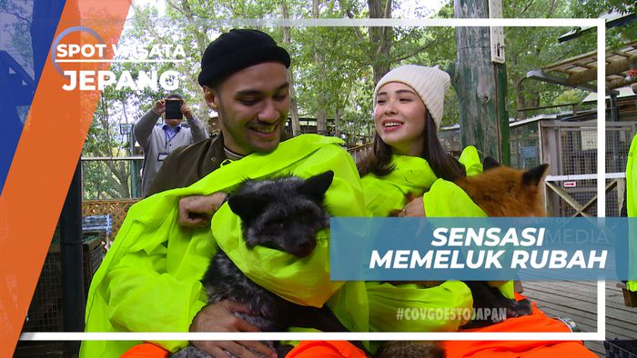 Sensasi Memeluk Rubah di Penangkaran Zao Fox Village, Jepang