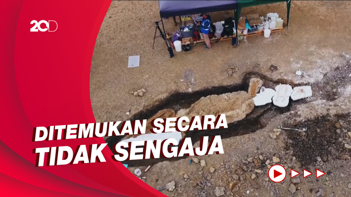 Penampakan Fosil Naga Laut Terbesar di Inggris