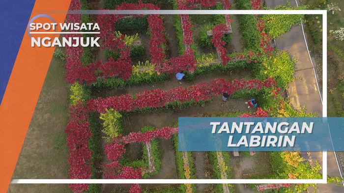 Mencari Jalan Keluar, Permainan Labirin Seru di Taman Bunga Nganjuk