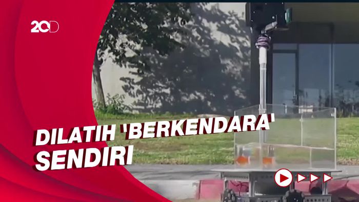 Aksi Ikan Mas Dilatih Nyetir Robot Akuarium di Israel