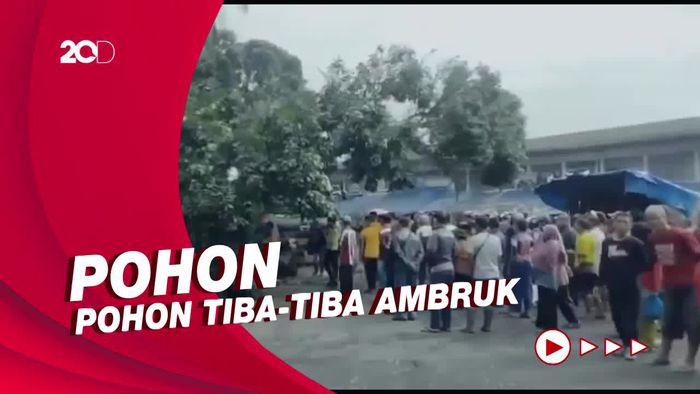 Pohon di Alun-alun Singaparna Tasik Tumbang, Timpa Angkot Hingga Truk