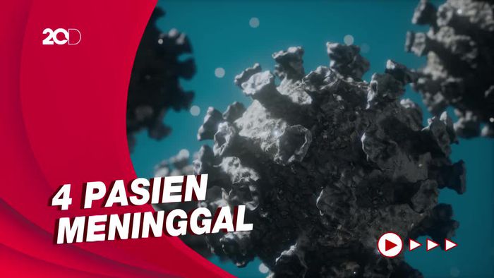 Update Corona RI 17 Januari: Bertambah 772 Kasus, 598 Sembuh