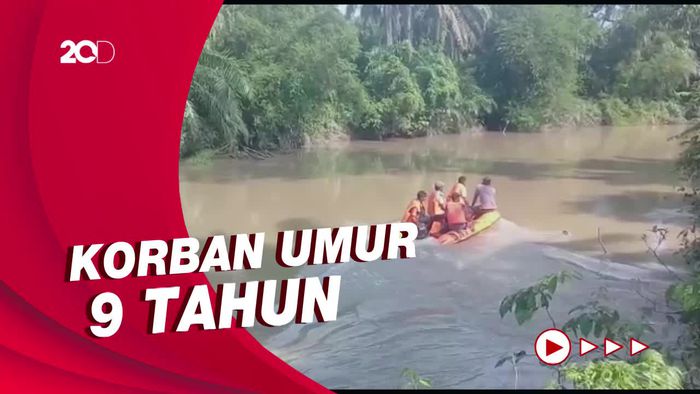 Buaya di Sumbar Diburu Setelah Terkam Bocah Perempuan