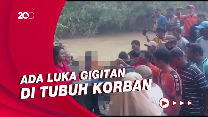 Bocah Korban Terkaman Buaya di Sumbar Ditemukan Tak Bernyawa!