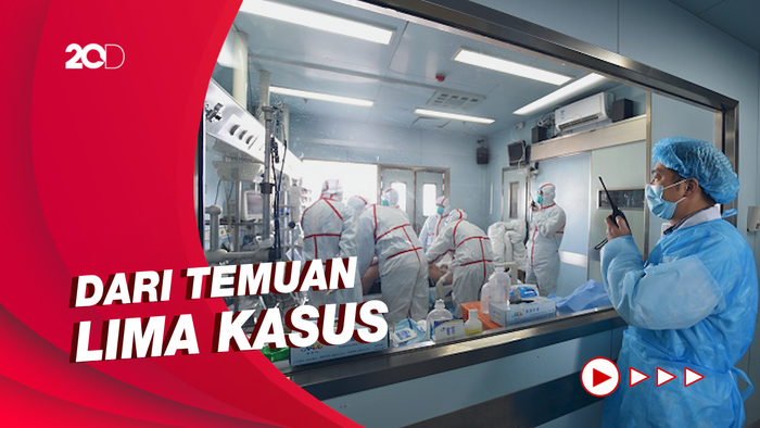 Kasus Flu Burung H5N6 di China: 2 Meninggal, 2 Kritis