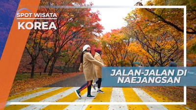 Indahnya Warna-warni Musim Gugur di Naejangsan yang Bikin Terpesona, Korea Selatan