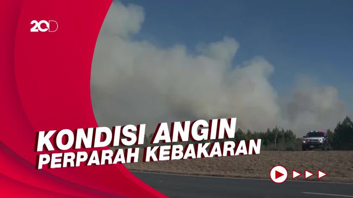 Kebakaran Hutan di Texas, Petugas Evakuasi Warga