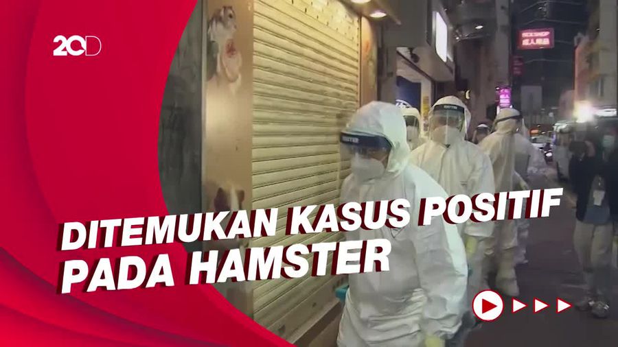Khawatir Tularkan Corona, Ribuan Hewan di Hong Kong Akan Dimusnahkan