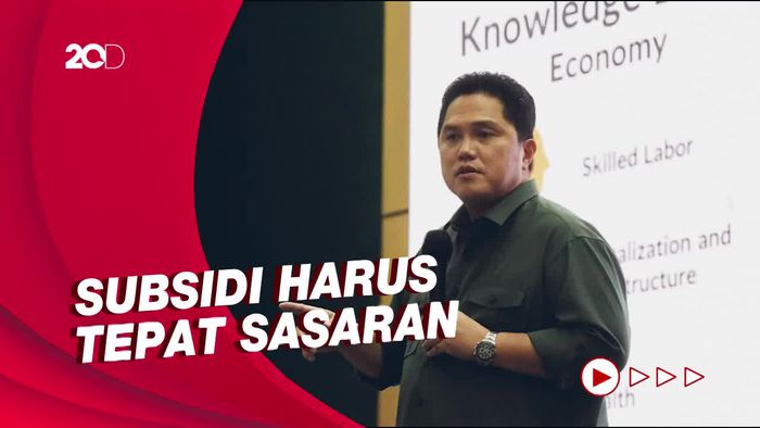 Erick Thohir Bicara Soal Mafia Subsidi Listrik