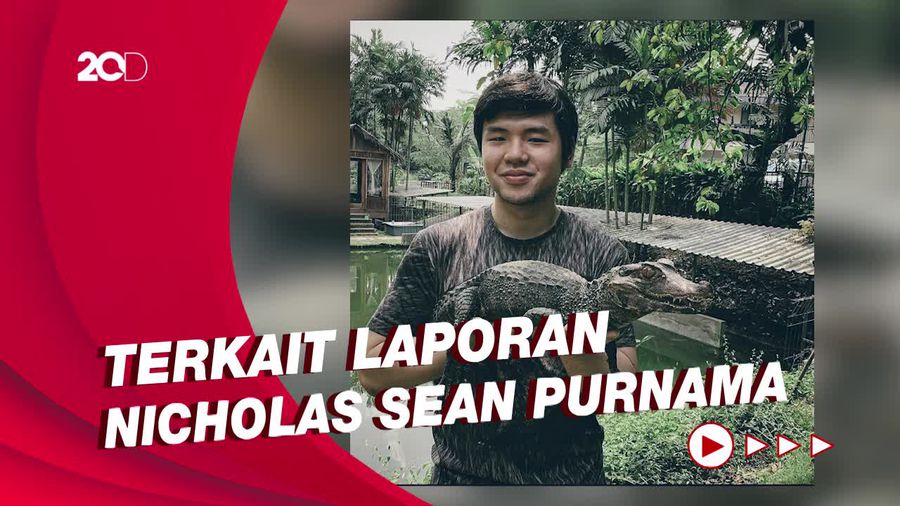 Hari Ini Ayu Thalia Jalani Pemeriksaan Sebagai Tersangka