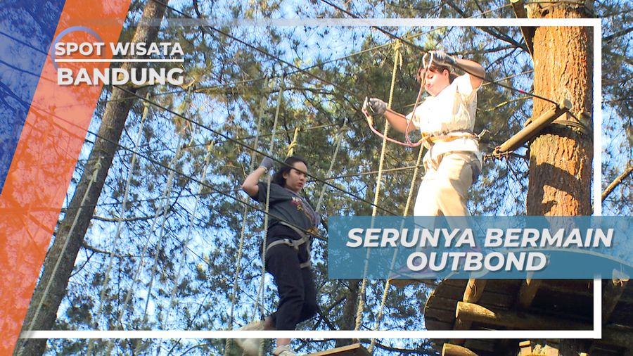 Outbound di Ketinggian Hutan Pinus Cikole Bandung, Memacu Rasa Takut dan Adrenalin 
