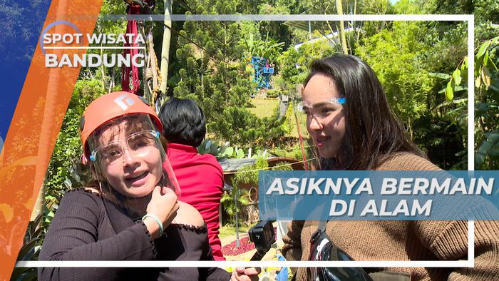 Meluncur di Flying Fox dengan Pemandangan Hutan Pinus, Bandung