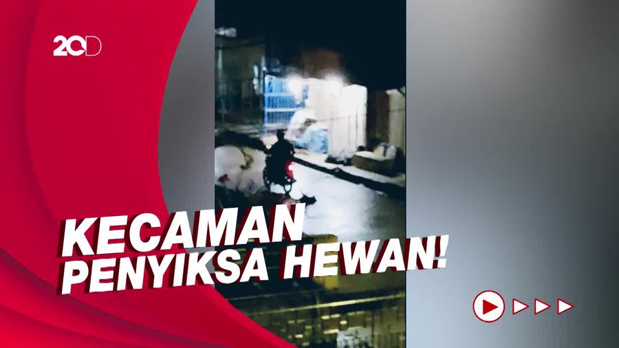 Heboh Anjing Diseret Pengendara Motor di Mamasa Sulbar