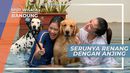 Sensasi Seru Berenang Bersama Anjing-anjing yang Gemesin, Bandung