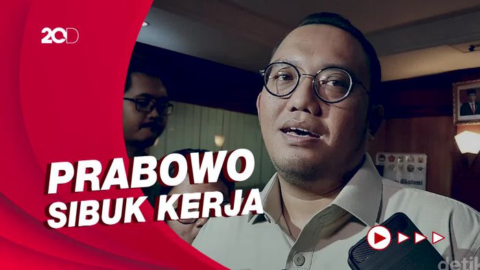 Jawaban Dingin Jubir Menhan saat Prabowo Disindir Macan Mengeong