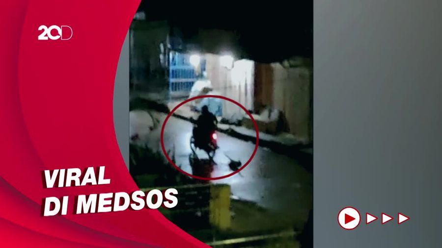 Teganya Anjing Diseret Pemotor di Mamasa