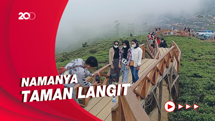 Lagi Stres? Bisa Nikmati Kebun Teh dan Samudera Awan di Bandung
